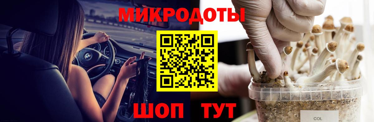 наркотики  Галлюциногенные грибы Psilocybe  Гусь-Хрустальный  Вход с VPN  Галлюциногенные грибы MAGIC MUSHROOMS 